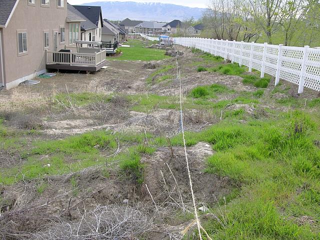 Before Landscaping