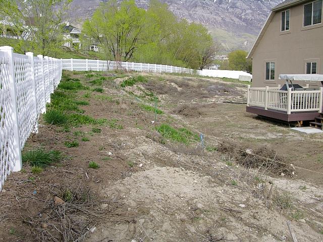 Before Landscaping
